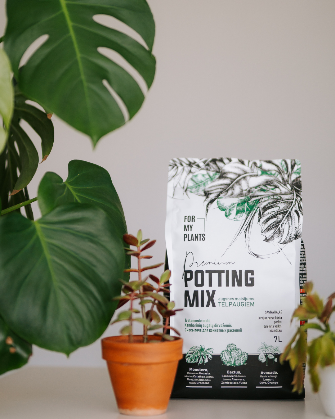 Potting Mix (7 liters) for houseplants