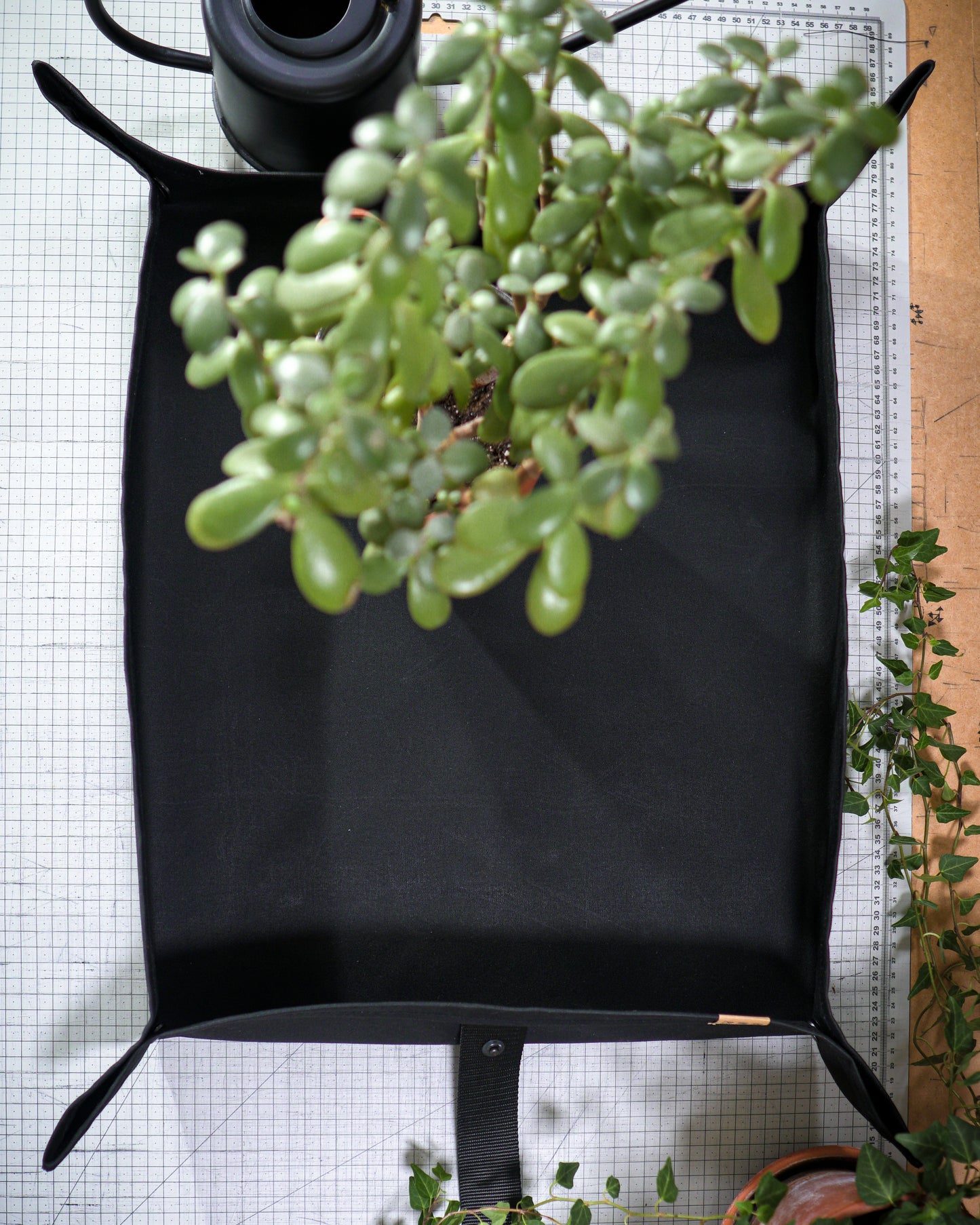 FOR MY PLANTS x MIZO augu stādīšanas paliktnis