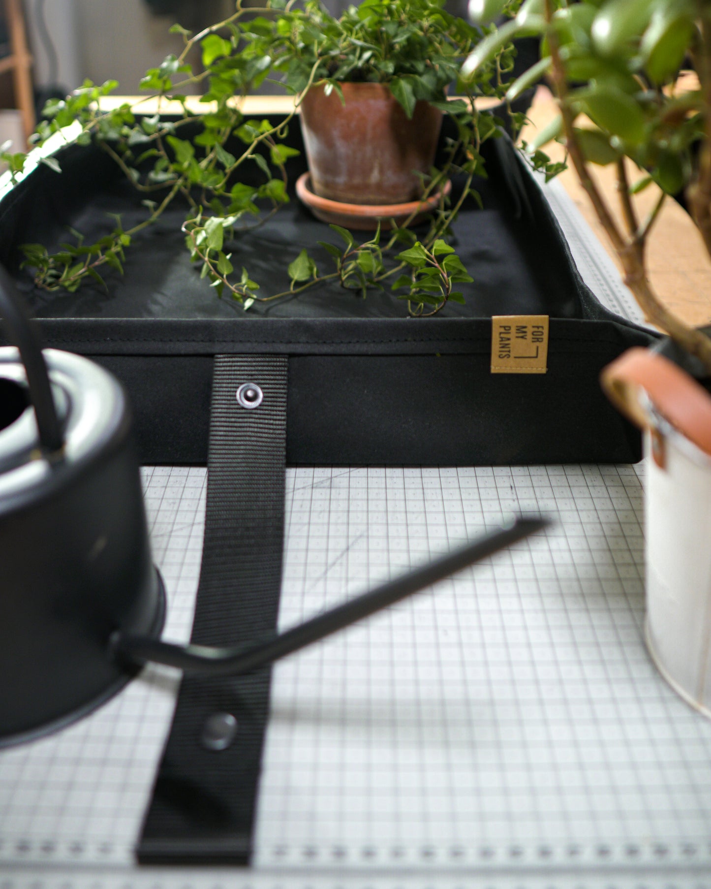 FOR MY PLANTS x MIZO augu stādīšanas paliktnis