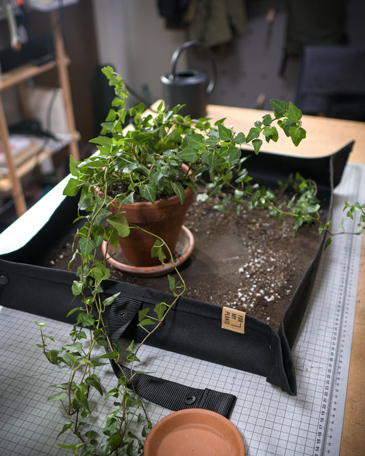 FOR MY PLANTS x MIZO augu stādīšanas paliktnis