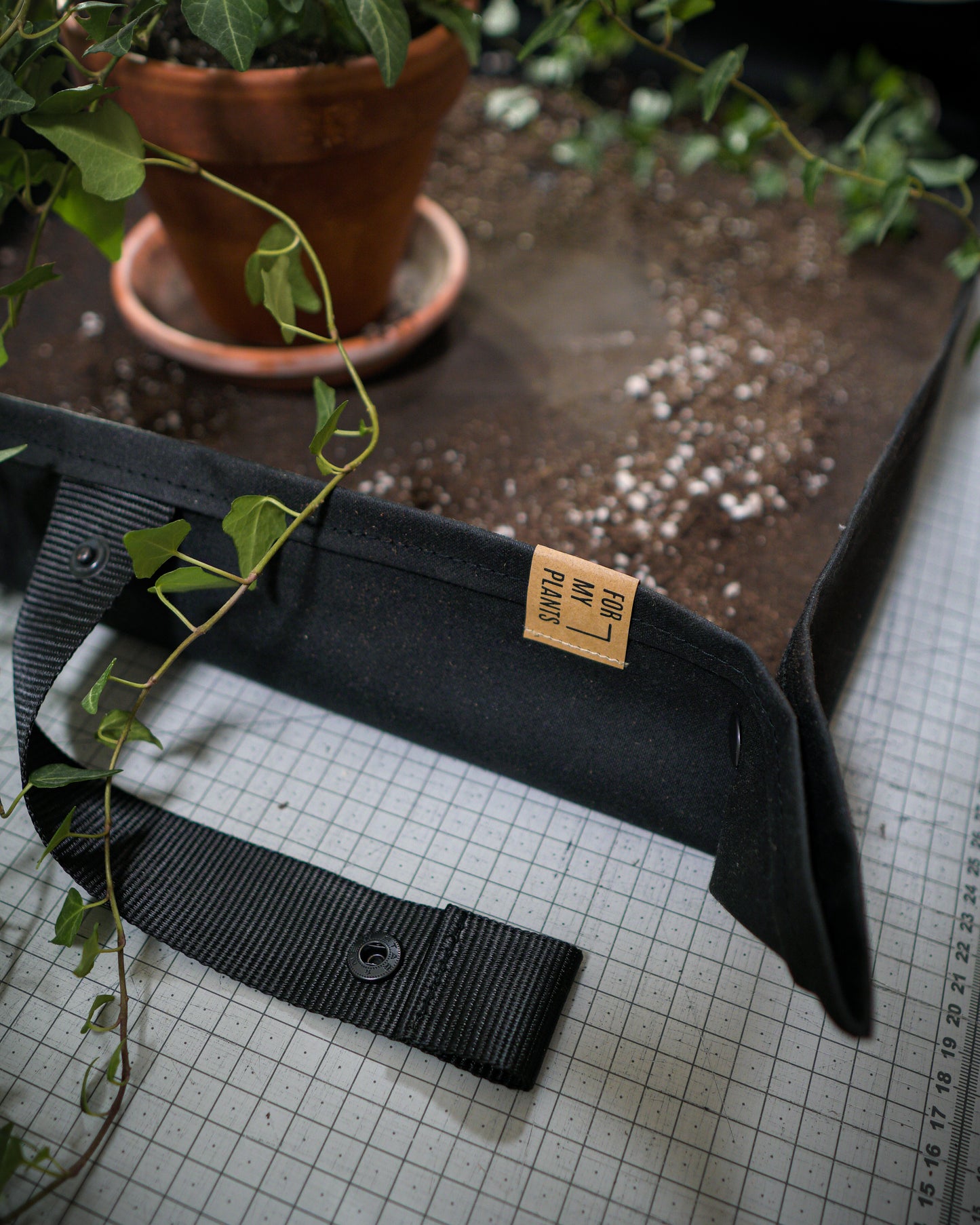 FOR MY PLANTS x MIZO augu stādīšanas paliktnis