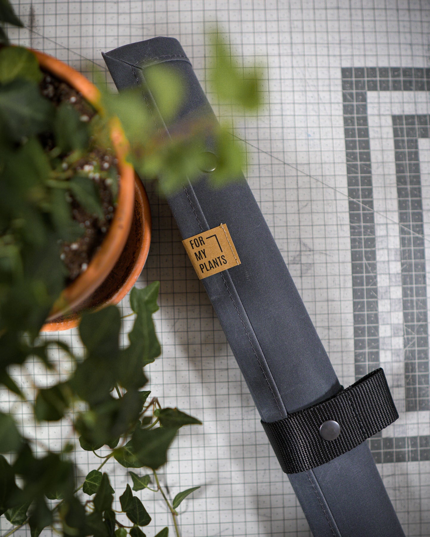 FOR MY PLANTS x MIZO augu stādīšanas paliktnis