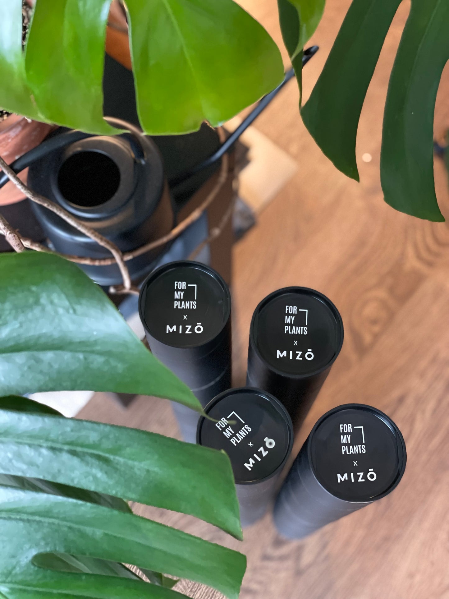 FOR MY PLANTS x MIZO augu stādīšanas paliktnis