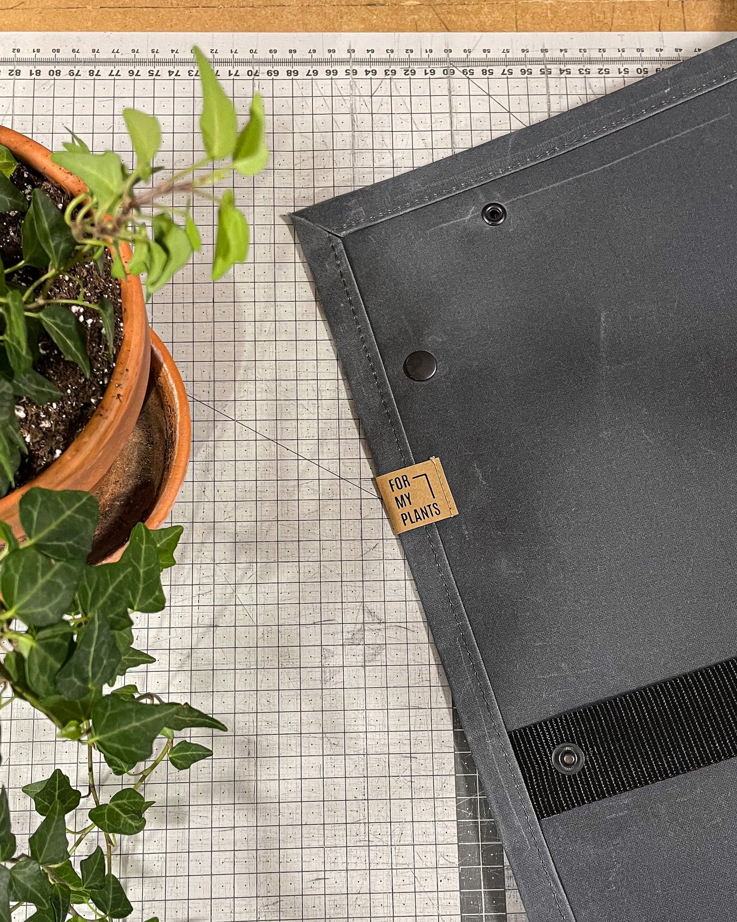 FOR MY PLANTS x MIZO augu stādīšanas paliktnis