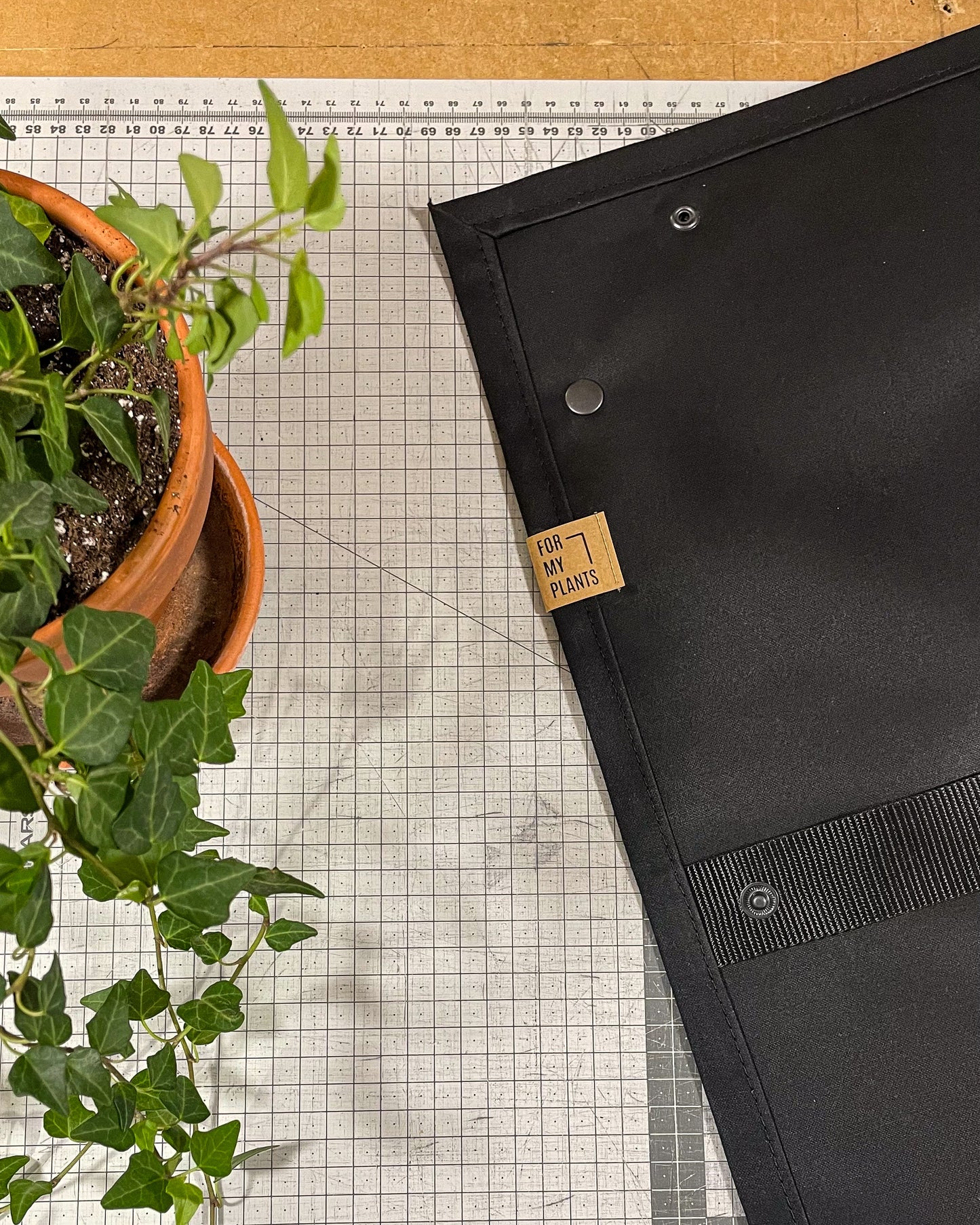 FOR MY PLANTS x MIZO augu stādīšanas paliktnis