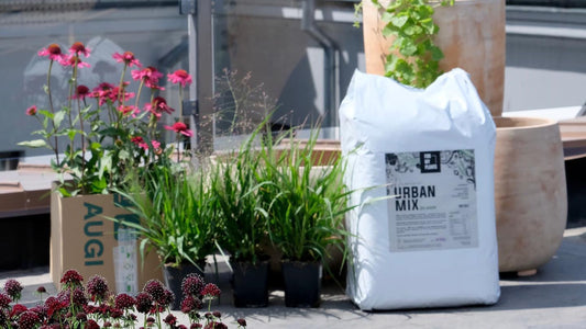 Urbānā dārza dizaina tendences pilsētvidē