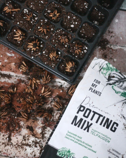 Potting Mix (7 liters) for houseplants