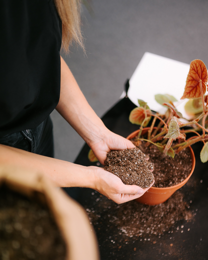 Potting Mix (2 x 27 liters) for houseplants