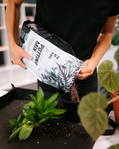 Potting Mix (7 liters) for houseplants