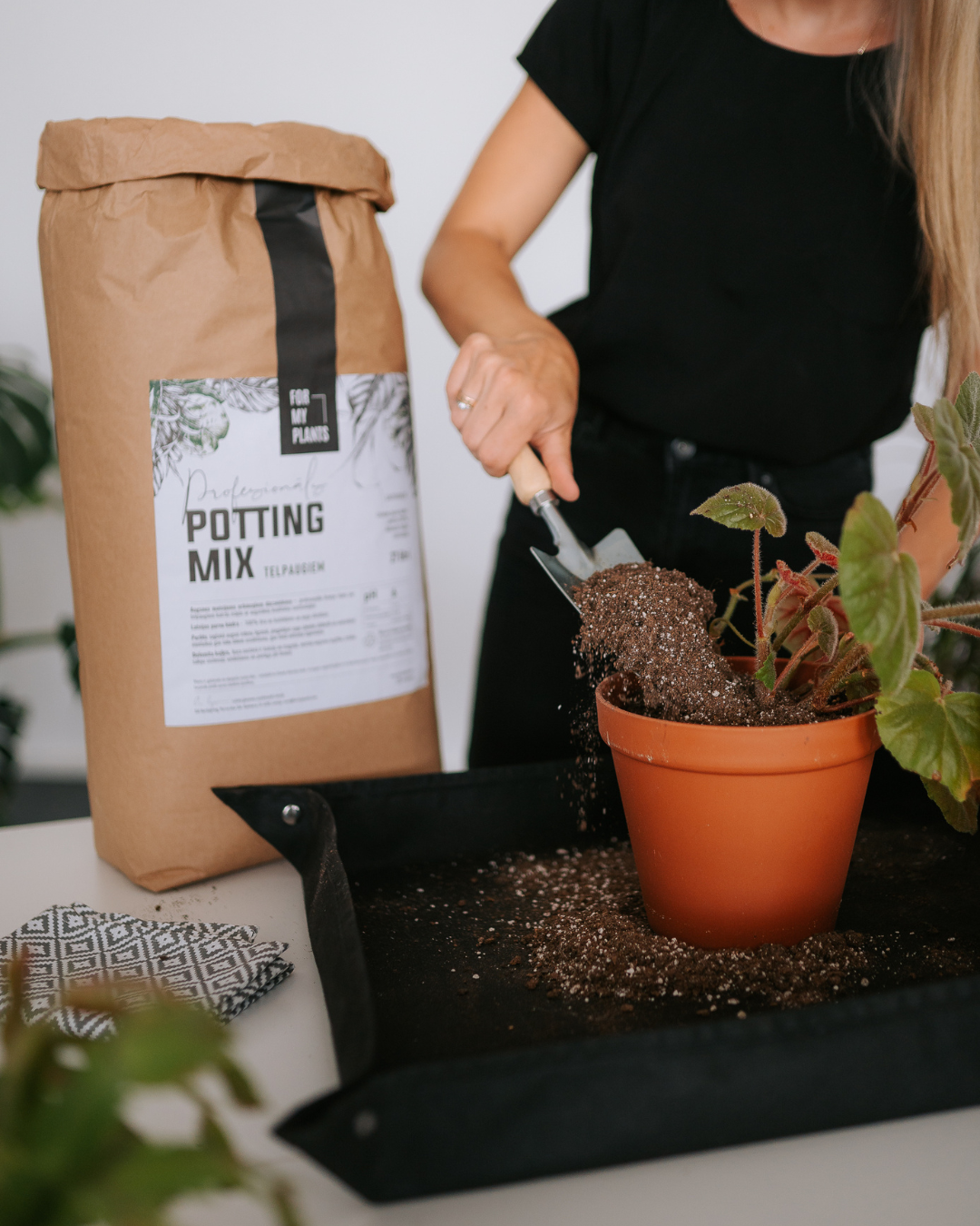Potting Mix (2 x 27 liters) for houseplants